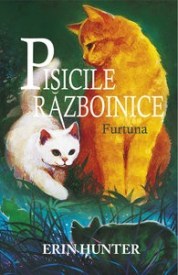 pisicile 4